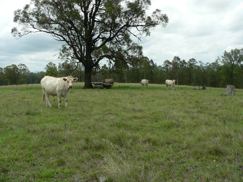 673 Glen William Road, Clarence Town NSW 2321