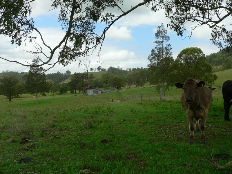 673 Glen William Road, Clarence Town NSW 2321