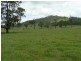 673 Glen William Road, Clarence Town NSW 2321
