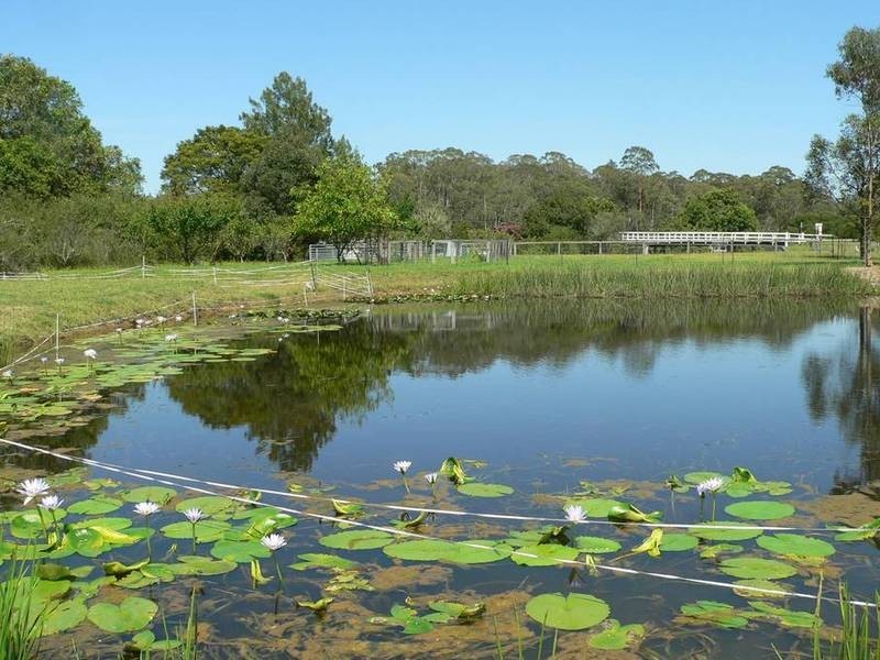 1275 Limeburners Creek Rd, Clarence Town NSW 2321