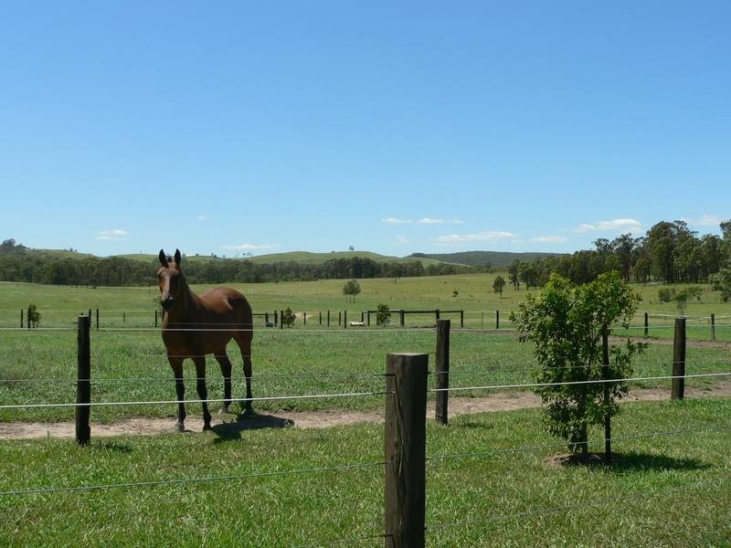 352 Glen Martin Road, Clarence Town NSW 2321