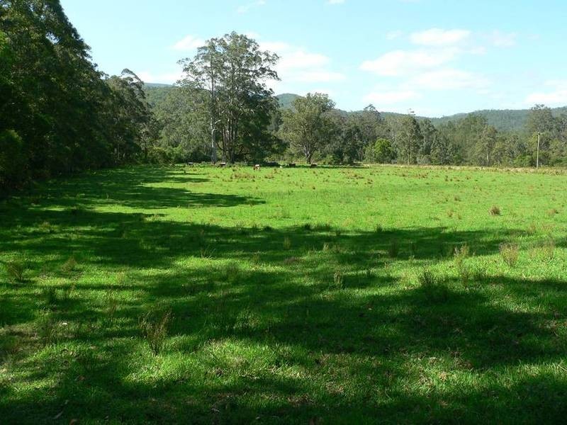 602 Moores Road, Dungog NSW 2420