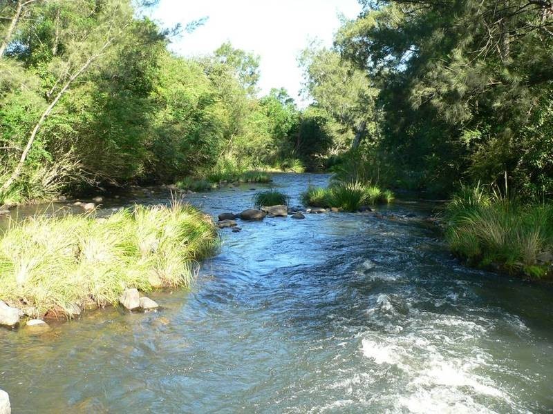 602 Moores Road, Dungog NSW 2420