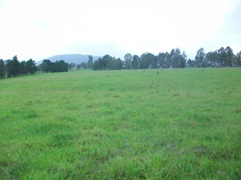 1286 Limeburners Creek Road, Clarence Town NSW 2321