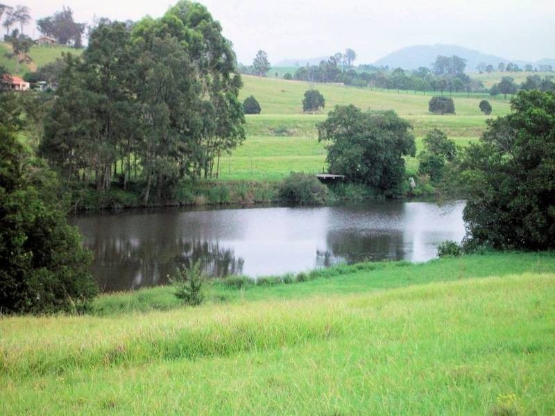 1286 Limerburners Creek Rd, Clarence Town NSW 2321