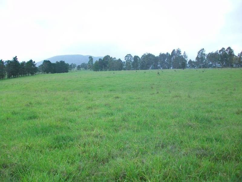 1286 Limerburners Creek Rd, Clarence Town NSW 2321