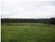 1286 Limerburners Creek Rd, Clarence Town NSW 2321