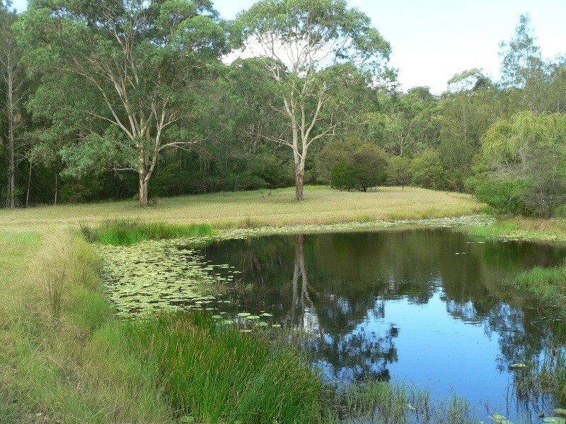 496 East Seaham Road, East Seaham NSW 2324