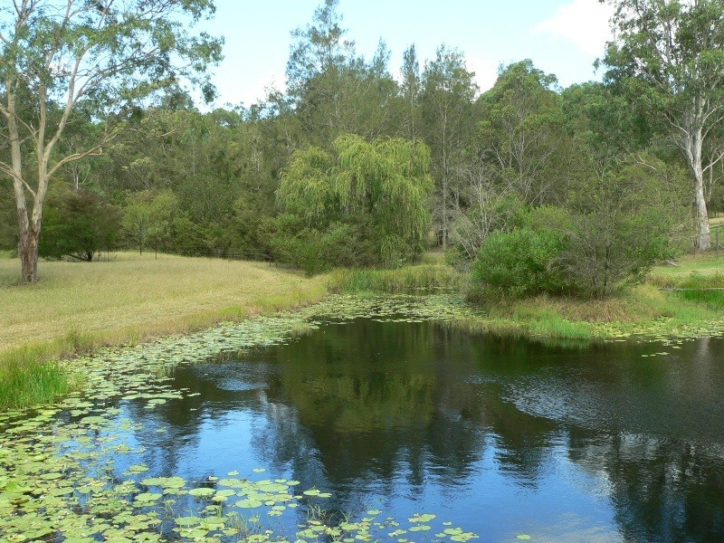 496 East Seaham Road, East Seaham NSW 2324