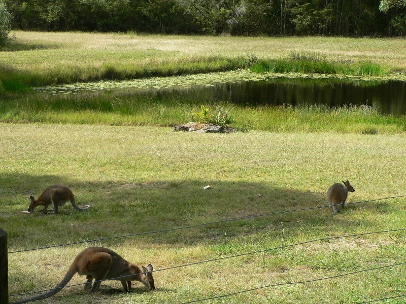 496 East Seaham Road, East Seaham NSW 2324