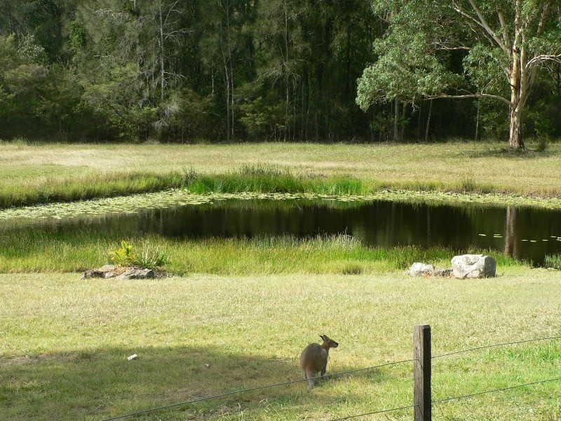 496 East Seaham Road, East Seaham NSW 2324