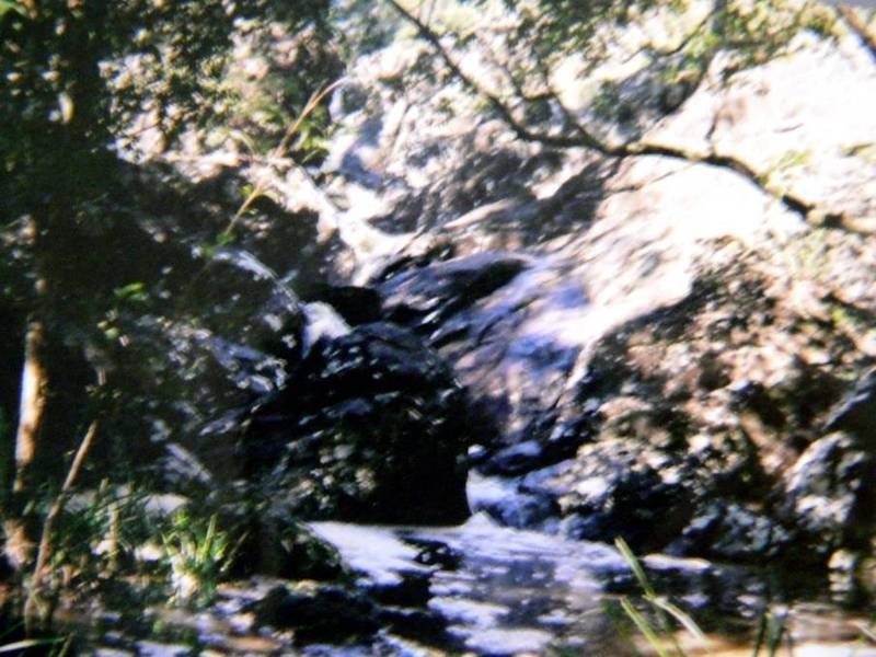 496 East Seaham Road, East Seaham NSW 2324