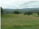 Markwell Back Road, Bulahdelah NSW 2423