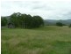 Markwell Back Road, Bulahdelah NSW 2423