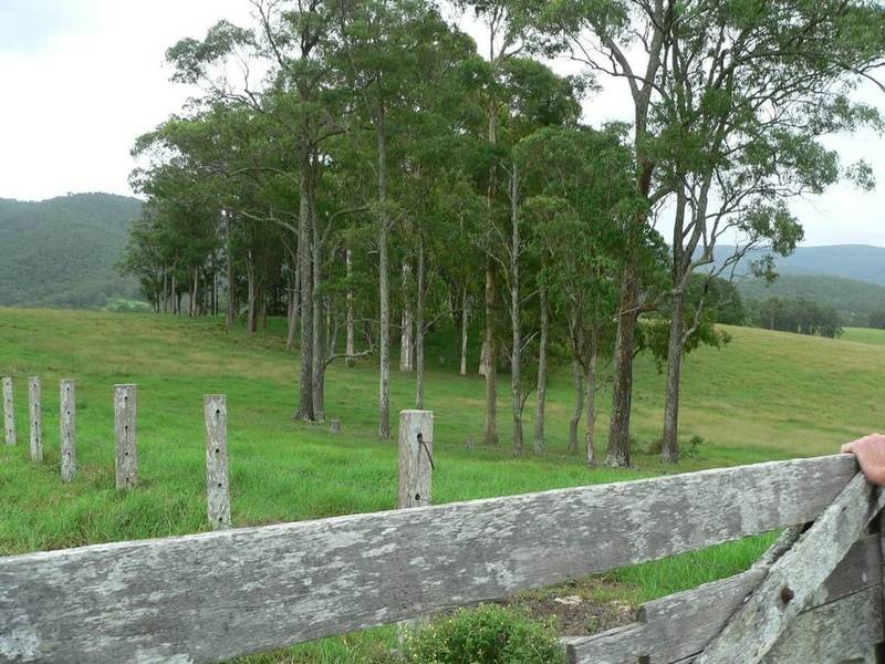 Markwell Back Road, Bulahdelah NSW 2423