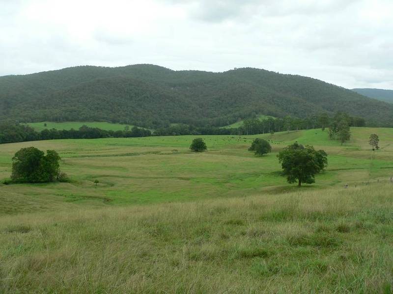 Markwell Back Road, Bulahdelah NSW 2423