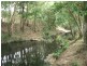 Markwell Back Road, Bulahdelah NSW 2423