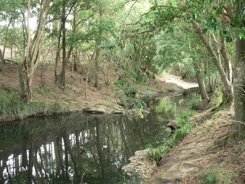 Markwell Back Road, Bulahdelah NSW 2423