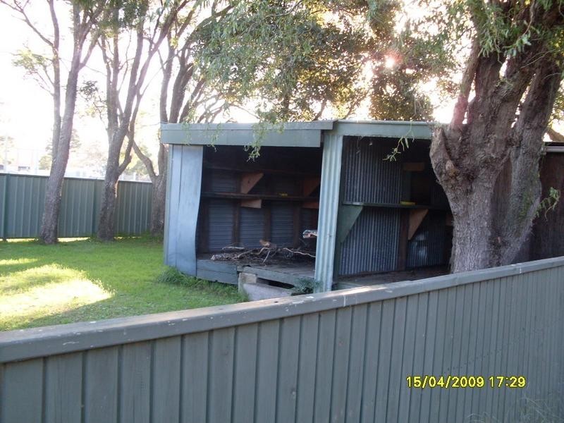 8 KANGAROO STREET, Raymond Terrace NSW 2324