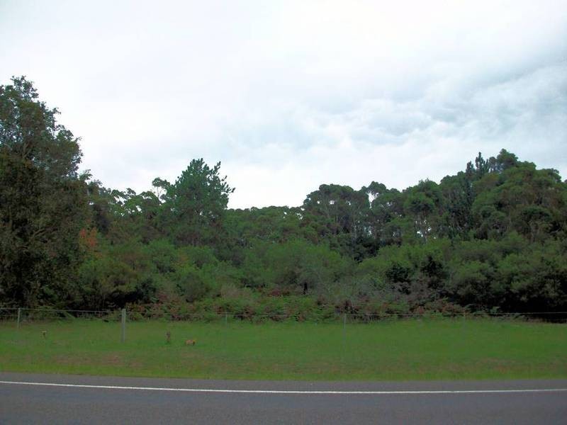 444 Cabbage Tree Road, Williamtown NSW 2318