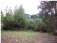 444 Cabbage Tree Road, Williamtown NSW 2318