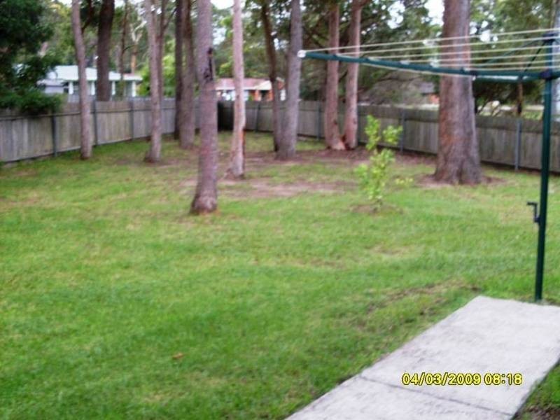 8 AGONIS PLACE, Medowie NSW 2318