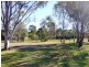 43 LEWIS DRIVE, Medowie NSW 2318