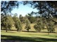 1 & 2/45 Kangaroo Street, Raymond Terrace NSW 2324