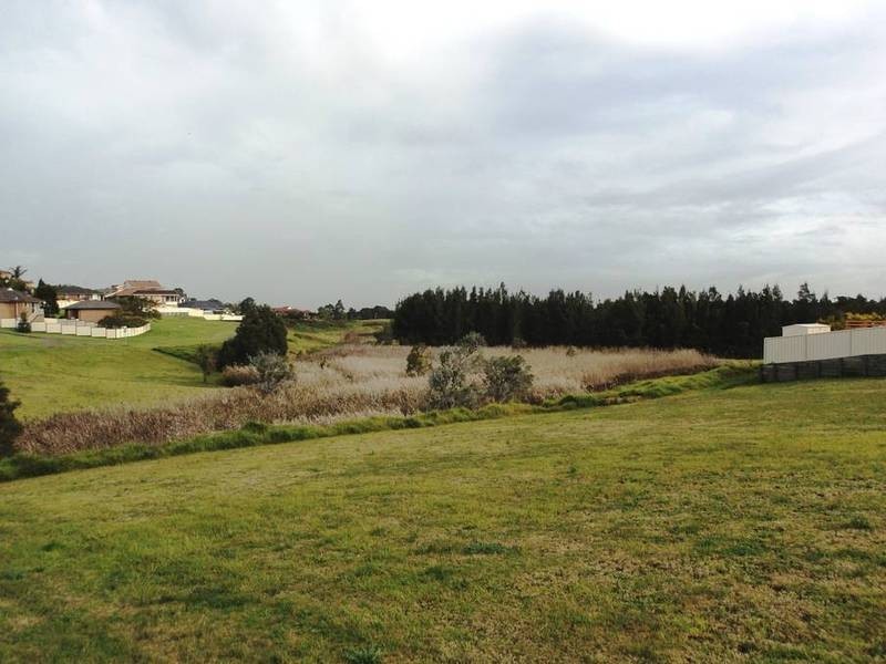 100 Dalyell Way, Raymond Terrace NSW 2324