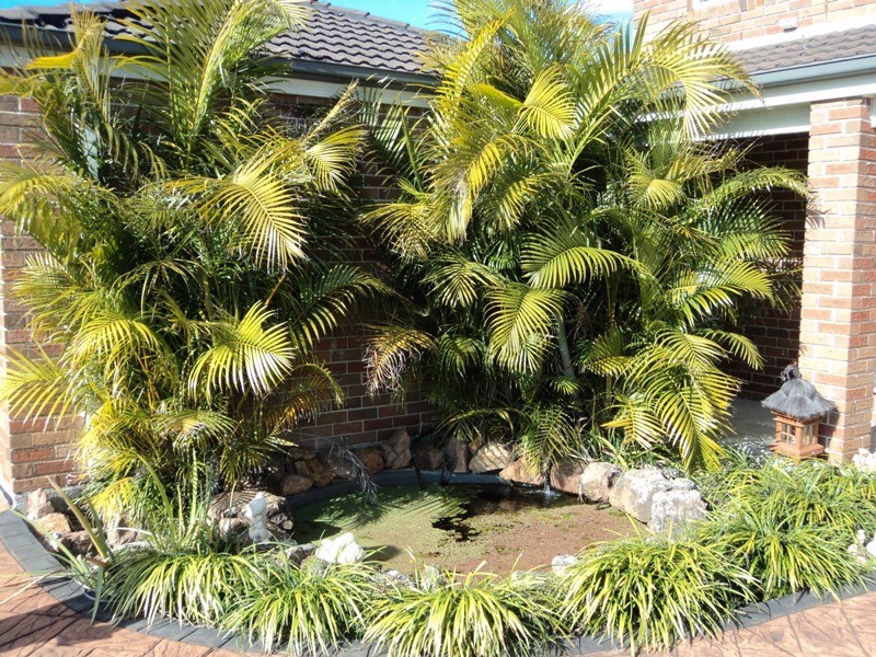 31 Dalyell Way, Raymond Terrace NSW 2324