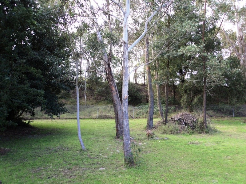 29 Rosemount Drive, Raymond Terrace NSW 2324