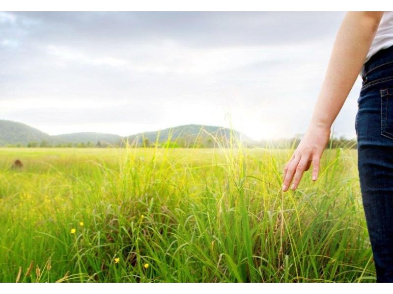 788 Limeburners Creek Road, Clarence Town NSW 2321