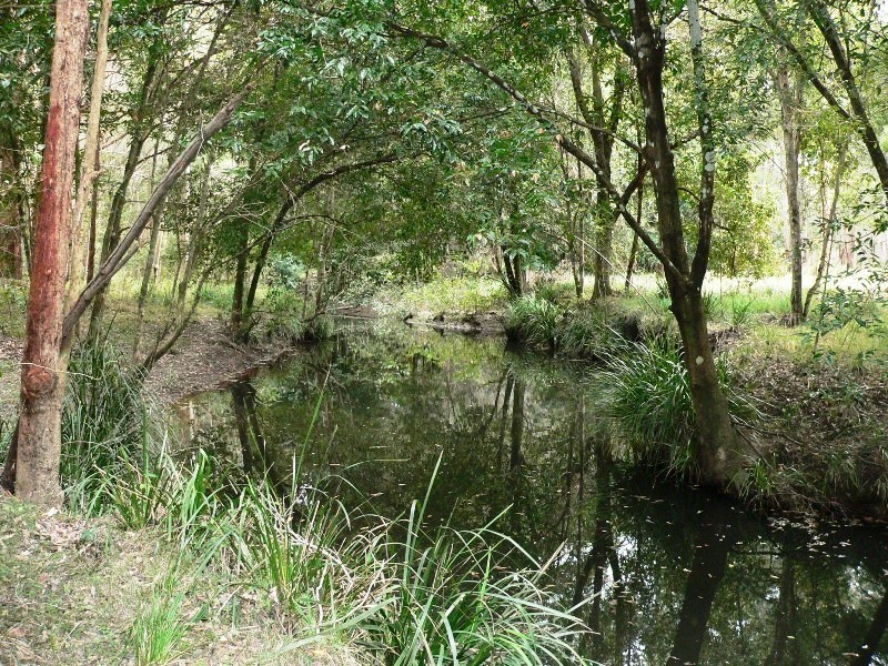 Lot 22, Lot 22 Ebsworth Road, Clarence Town NSW 2321