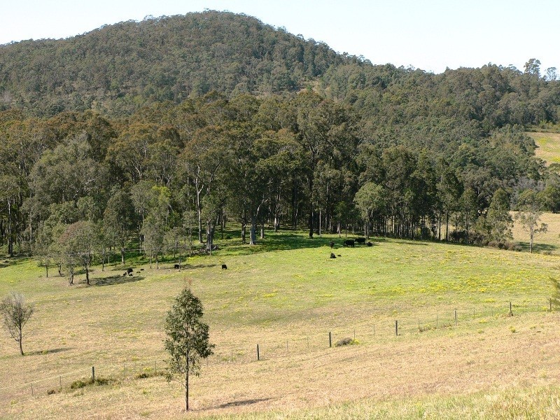 Lot 22, Lot 22 Ebsworth Road, Clarence Town NSW 2321