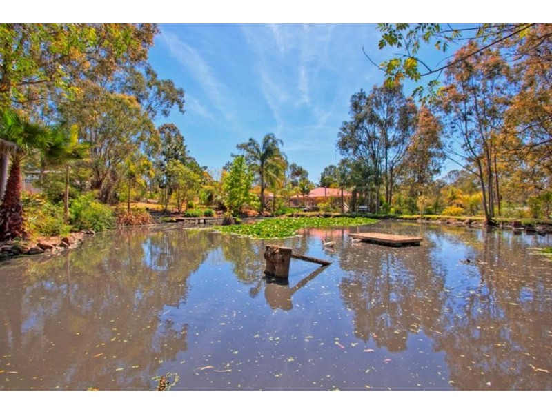 14 Timber Tops Road, Seaham NSW 2324