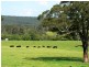 180 Fords Road, Clarence Town NSW 2321