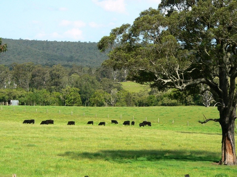 180 Fords Road, Clarence Town NSW 2321