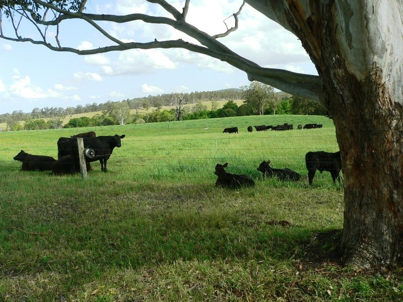 180 Fords Road, Clarence Town NSW 2321