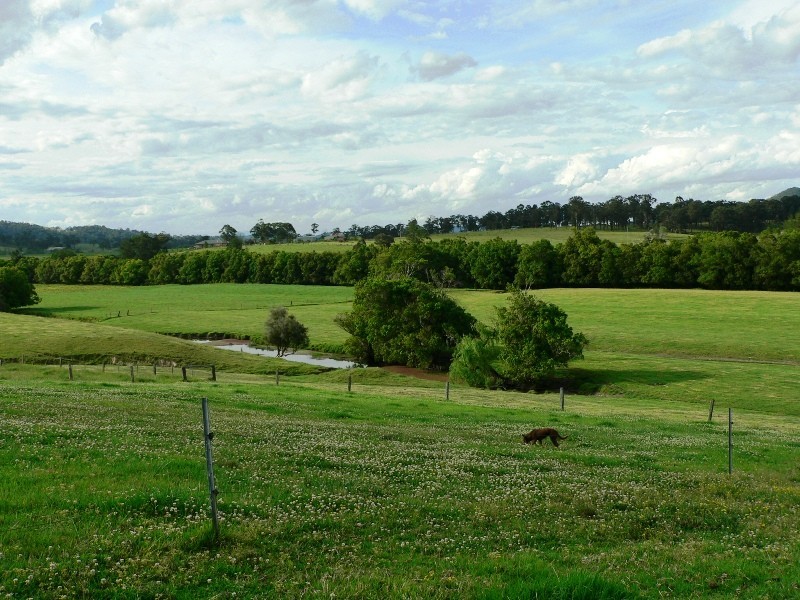 180 Fords Road, Clarence Town NSW 2321