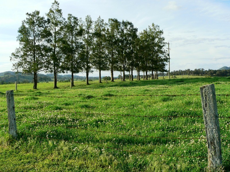 180 Fords Road, Clarence Town NSW 2321