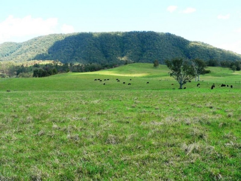 1062 Moores Road, Dungog NSW 2420