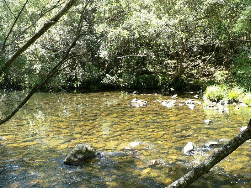 1062 Moores Road, Dungog NSW 2420