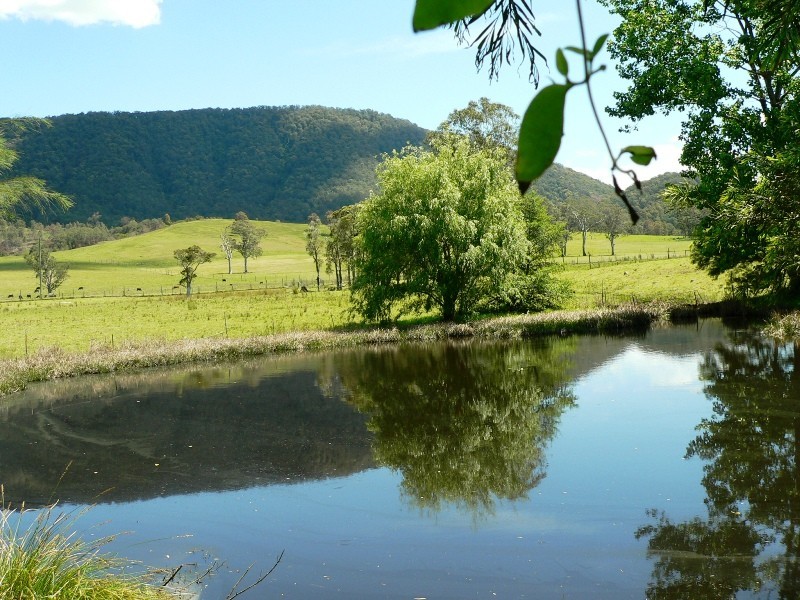 1062 Moores Road, Dungog NSW 2420