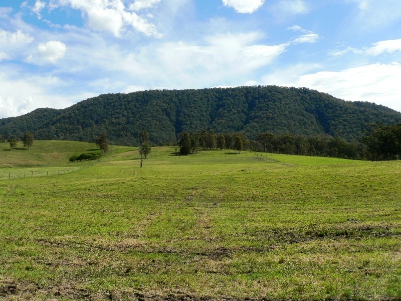 1062 Moores Road, Dungog NSW 2420