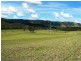 1062 Moores Road, Dungog NSW 2420