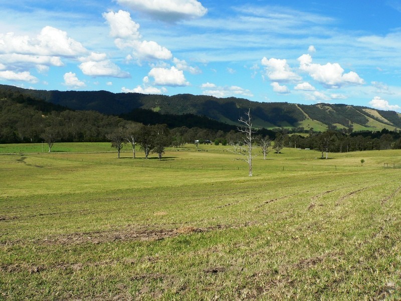 1062 Moores Road, Dungog NSW 2420