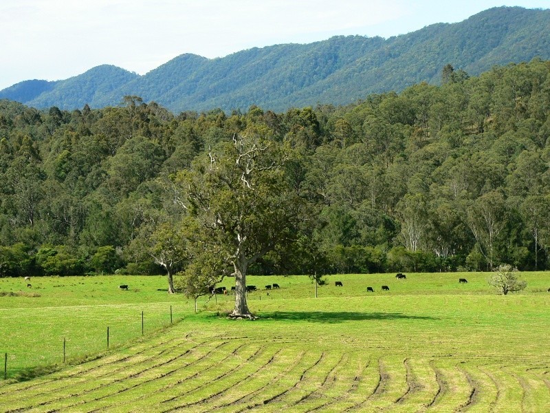 1062 Moores Road, Dungog NSW 2420