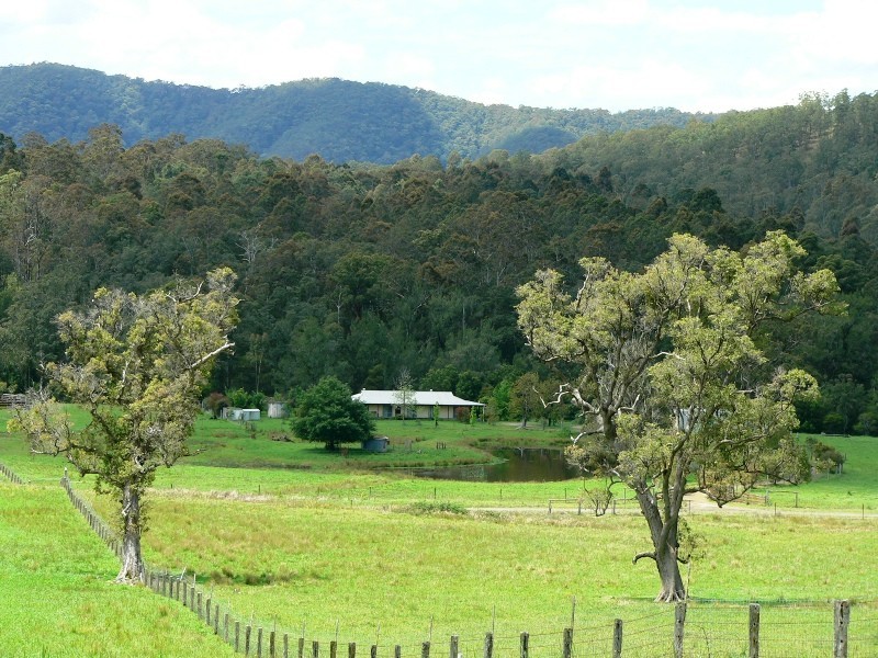 1062 Moores Road, Dungog NSW 2420
