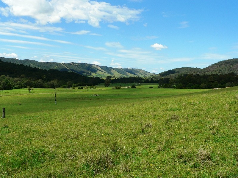 1062 Moores Road, Dungog NSW 2420