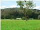 1062 Moores Road, Dungog NSW 2420